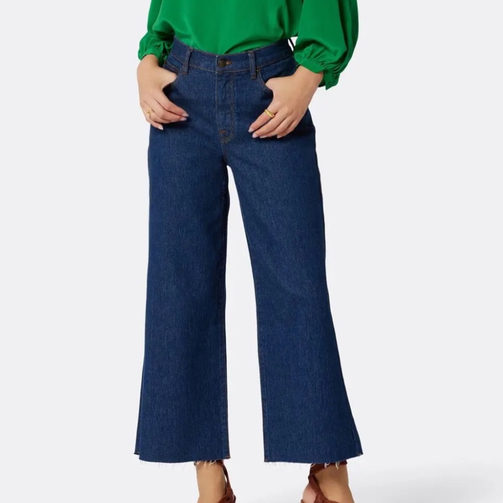 JOIE Isabelle Wide Leg Jean (size 26)